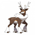 Sawsbuck est de la famille de Deerling