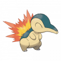 Cyndaquil est de la famille de Typhlosion