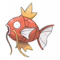 Magikarp est de la famille de Gyarados