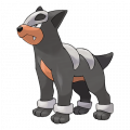 Houndour est de la famille de Houndour