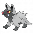 Poochyena est de la famille de Poochyena