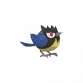 Rookidee est de la famille de Corviknight