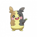 Morpeko est de la famille de Morpeko