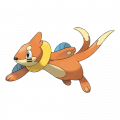 Buizel est de la famille de Floatzel