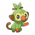 Grookey est de la famille de Rillaboom