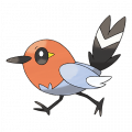 Fletchling est de la famille de Talonflame