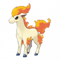 Ponyta est de la famille de Ponyta