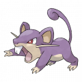 Rattata est de la famille de Rattata