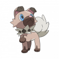 Rockruff est de la famille de Lycanroc