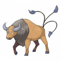 Tauros est de la famille de Magicarpe