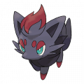 Zorua est de la famille de Zorua