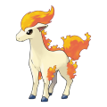 Ponyta est de la famille de Ponyta