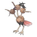 Dodrio est de la famille de Dodrio