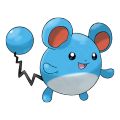 Marill est de la famille de Azumarill