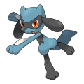 Riolu est de la famille de Lucario