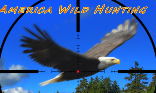 Guides et soluces de America Wild Hunting