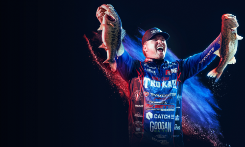 Guides et soluces de Bassmaster Fishing 2022