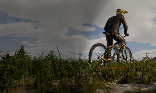 Guides et soluces deBMX Wild Run
