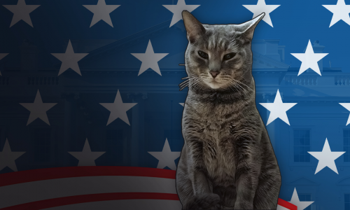Guides et soluces deCat President: A More Purrfect Union 