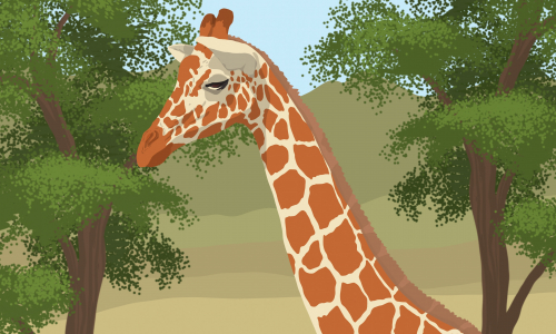 Guides et soluces de The Giraffe G