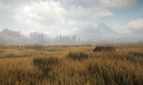 Guides et soluces de theHunter: Call of the Wild
