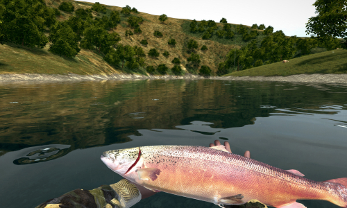 Guides et soluces de Ultimate Fishing Simulator