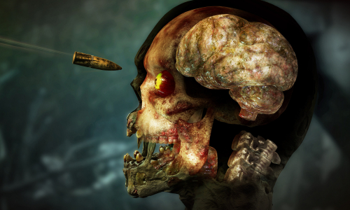 Guides et soluces de Zombie Army 4: Dead War